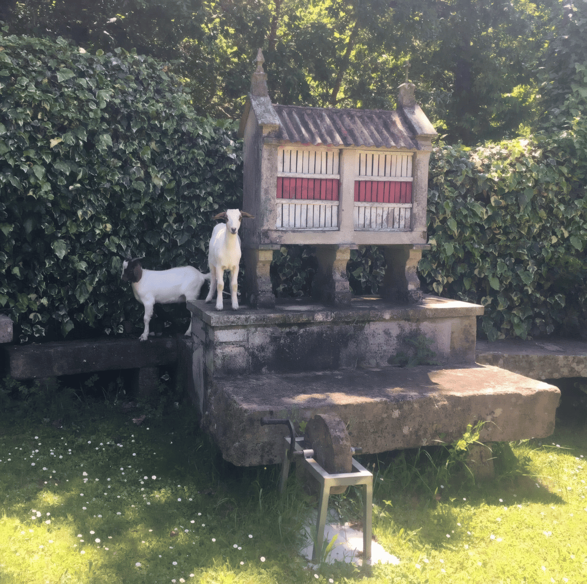 Finca Anduriñas — Camino de Santiago